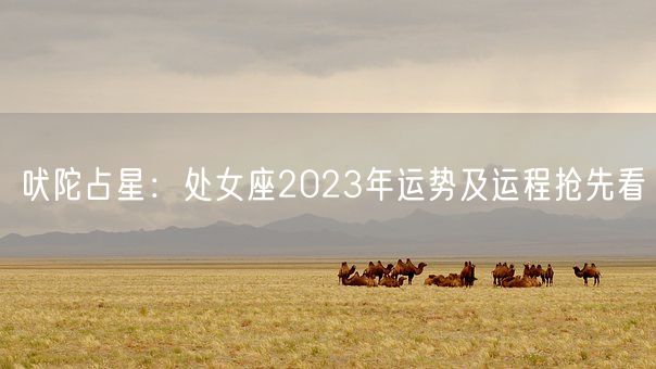 吠陀占星：处女座2023年运势及运程抢先看(图1)