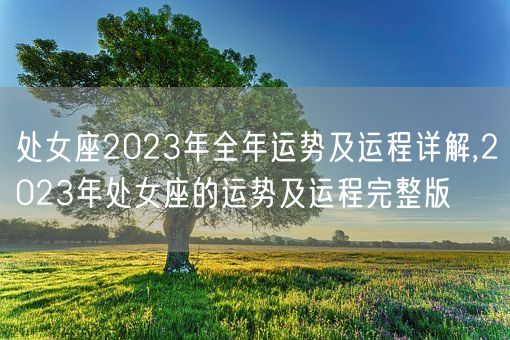 处女座2023年全年运势及运程详解,2023年处女座的运势及运程完整版(图1)