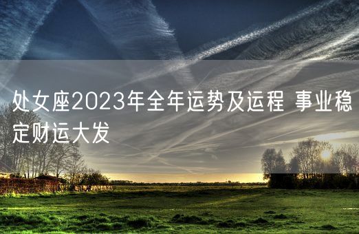 处女座2023年全年运势及运程 事业稳定财运大发(图1)