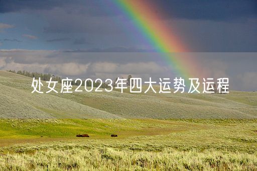 处女座2023年四大运势及运程(图1)