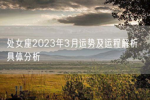 处女座2023年3月运势及运程解析  具体分析(图1)