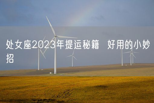 处女座2023年提运秘籍  好用的小妙招(图1)