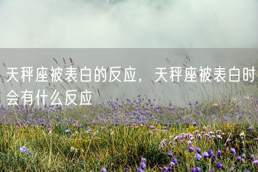 天秤座被表白的反应，天秤座被表白时会有什么反应(图1)