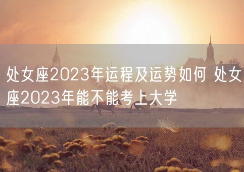 处女座2023年运程及运势如何 处女座2023年能不能考上大学(图1)