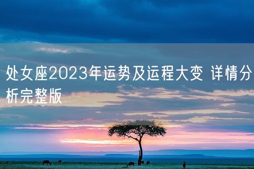 处女座2023年运势及运程大变 详情分析完整版(图1)