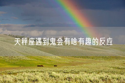 天秤座适合穿什么鞋(图1)