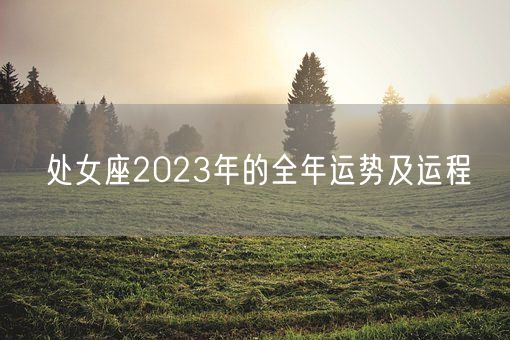 处女座2023年的全年运势及运程(图1)