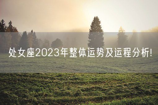 处女座2023年整体运势及运程分析!(图1)