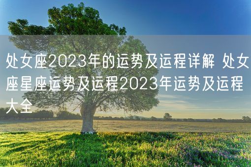 处女座2023年的运势及运程详解 处女座星座运势及运程2023年运势及运程大全(图1)