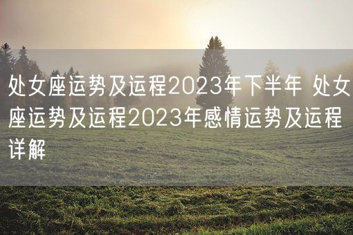 处女座运势及运程2023年下半年 处女座运势及运程2023年感情运势及运程详解(图1)