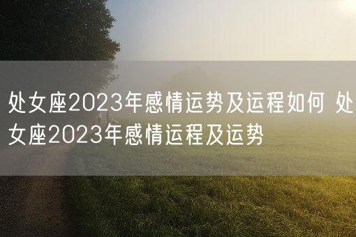 处女座2023年感情运势及运程如何 处女座2023年感情运程及运势(图1)