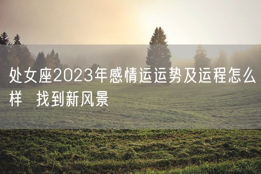 处女座2023年感情运运势及运程怎么样  找到新风景(图1)