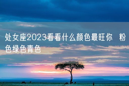 处女座2023看看什么颜色最旺你  粉色绿色青色(图1)