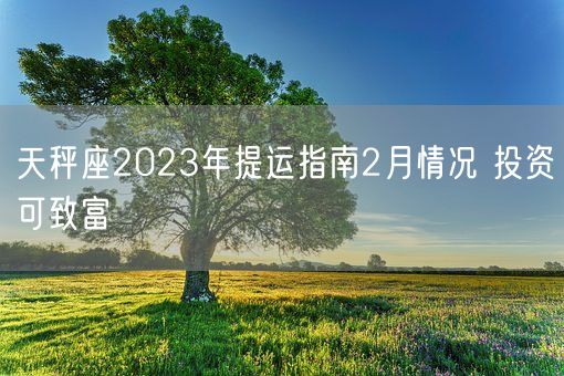 天秤座2023年提运指南2月情况 投资可致富    (图1)