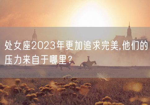 处女座2023年更加追求完美,他们的压力来自于哪里？(图1)