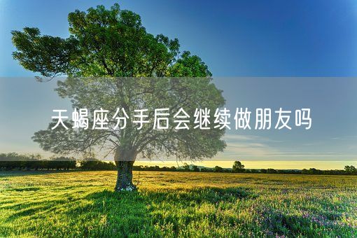 天蝎座分手后会继续做朋友吗(图1)