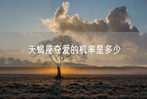 天蝎座夺爱的机率是多少(图1)