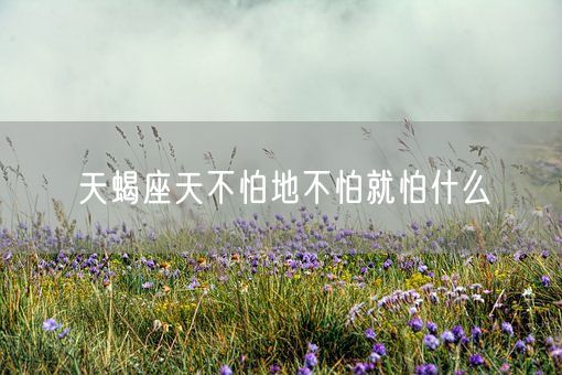 天蝎座天不怕地不怕就怕什么(图1)