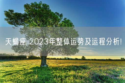 天蝎座 2023年整体运势及运程分析!(图1)