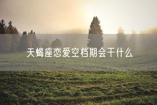 天蝎座恋爱空档期会干什么(图1)