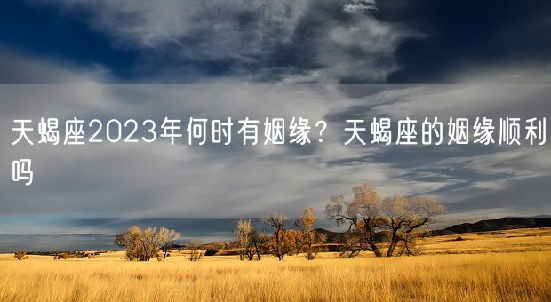 天蝎座2023年何时有姻缘？天蝎座的姻缘顺利吗(图1)