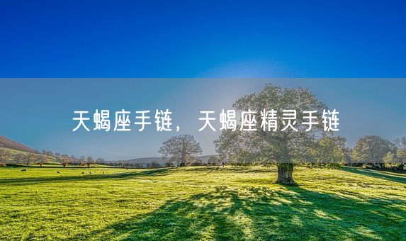 天蝎座手链，天蝎座精灵手链(图1)