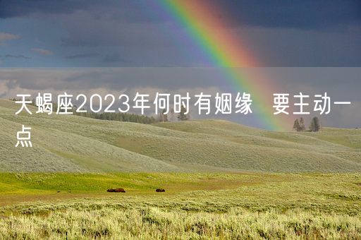 天蝎座2023年何时有姻缘  要主动一点(图1)