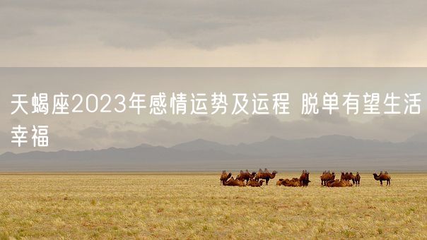 天蝎座2023年感情运势及运程 脱单有望生活幸福(图1)