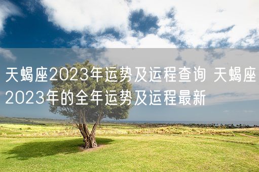 天蝎座2023年运势及运程查询 天蝎座2023年的全年运势及运程最新(图1)