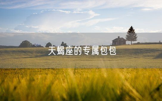 天蝎座的专属包包(图1)