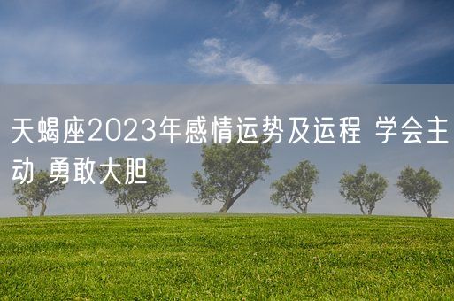 天蝎座2023年感情运势及运程 学会主动 勇敢大胆(图1)