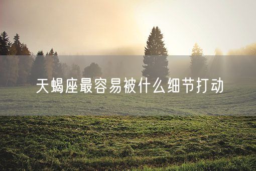 天蝎座最容易被什么细节打动(图1)