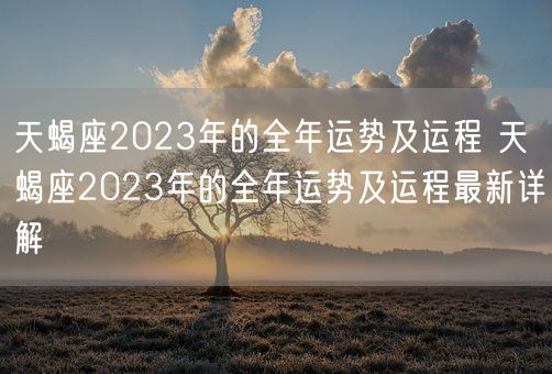 天蝎座2023年的全年运势及运程 天蝎座2023年的全年运势及运程最新详解(图1)