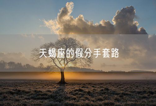 天蝎座的假分手套路(图1)