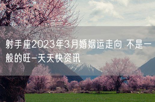 射手座2023年3月婚姻运走向 不是一般的旺-天天快资讯(图1)