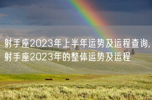 射手座2023年上半年运势及运程查询,射手座2023年的整体运势及运程(图1)