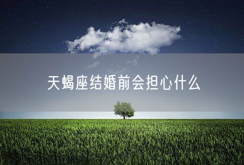 天蝎座结婚前会担心什么(图1)