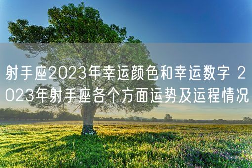 射手座2023年幸运颜色和幸运数字 2023年射手座各个方面运势及运程情况(图1)