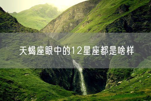 天蝎座眼中的12星座都是啥样(图1)