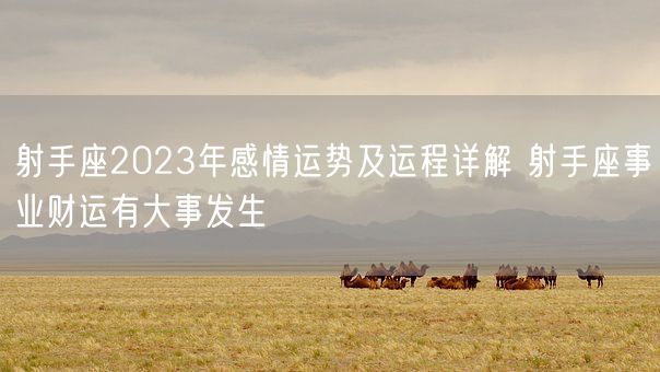 射手座2023年感情运势及运程详解 射手座事业财运有大事发生 (图1)
