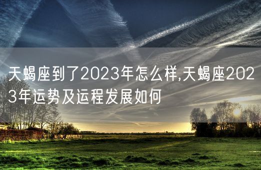 天蝎座到了2023年怎么样,天蝎座2023年运势及运程发展如何(图1)