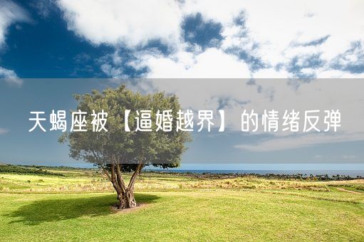 天蝎座被【逼婚越界】的情绪反弹(图1)