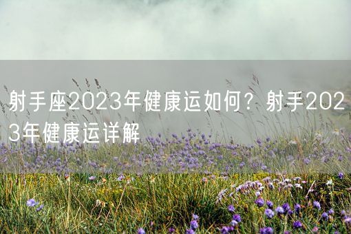 射手座2023年健康运如何？射手2023年健康运详解(图1)