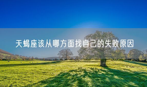 天蝎座该从哪方面找自己的失败原因(图1)