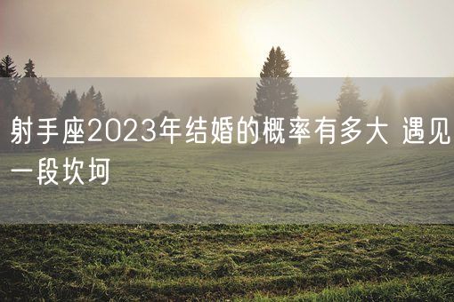 射手座2023年结婚的概率有多大 遇见一段坎坷(图1)