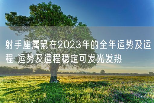 射手座属鼠在2023年的全年运势及运程 运势及运程稳定可发光发热(图1)