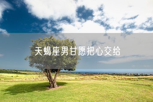 天蝎座男甘愿把心交给(图1)