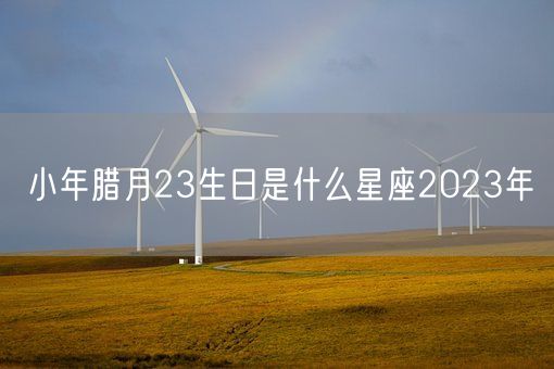 小年腊月23生日是什么星座2023年(图1)