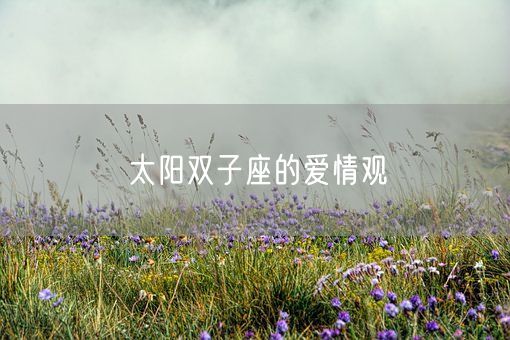 太阳双子座的爱情观(图1)