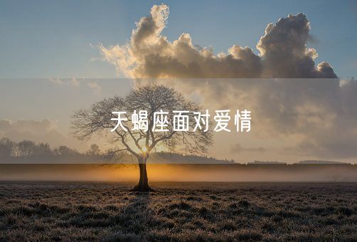 天蝎座面对爱情(图1)